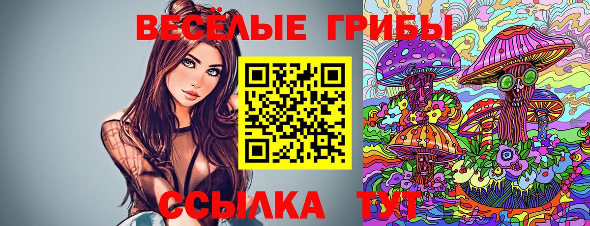 Славянск-на-Кубани  Галлюциногенные грибы Cubensis  Вход с VPN  Псилоцибиновые грибы Psilocybine cubensis 